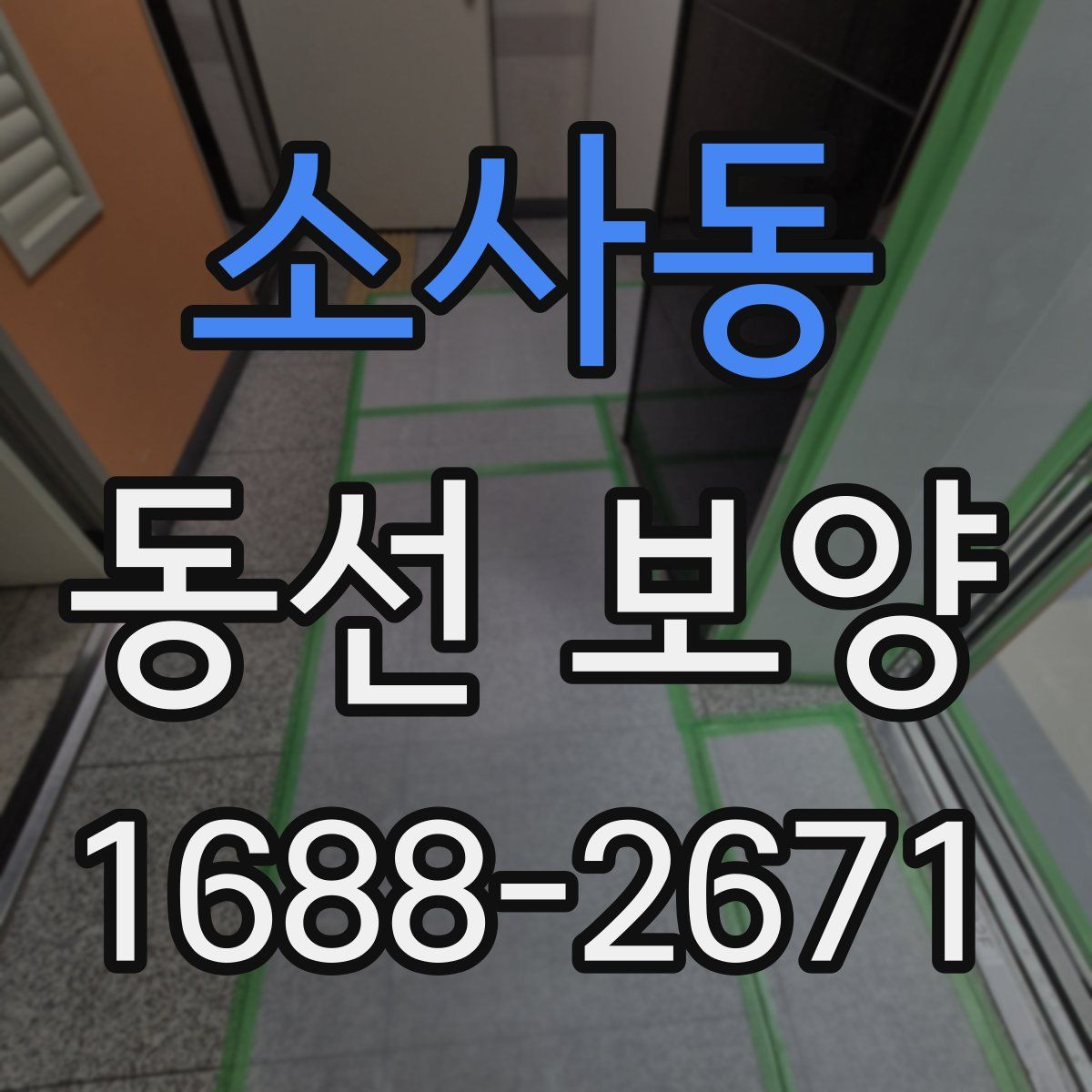 소사동 동선 보양