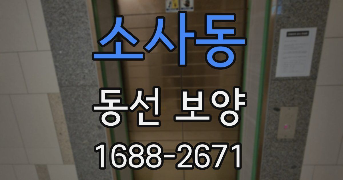 소사동 동선 보양