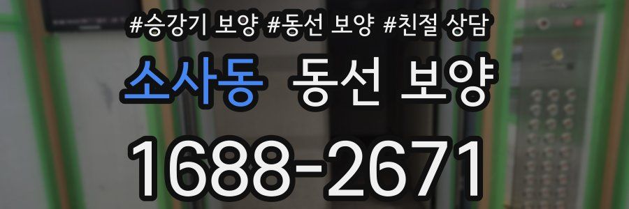 소사동 동선 보양