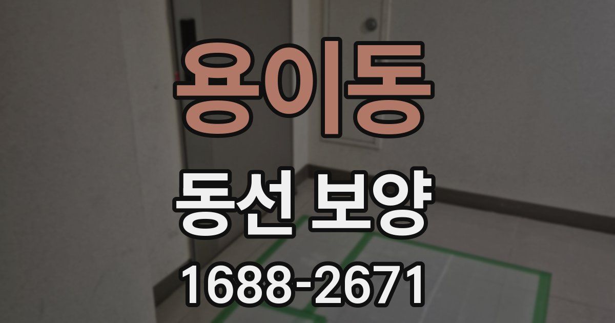 용이동 동선 보양