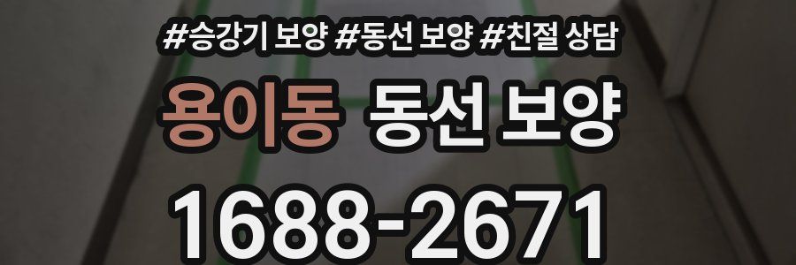 용이동 동선 보양