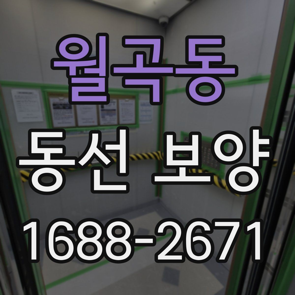 월곡동 동선 보양 재료별 특징과 적용 상황