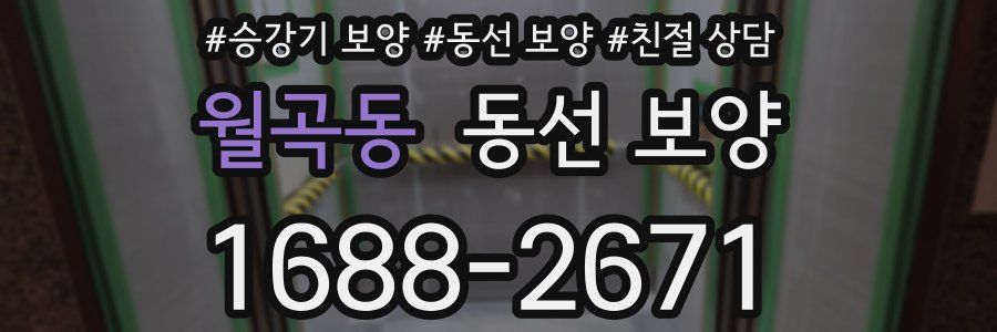 월곡동 동선 보양