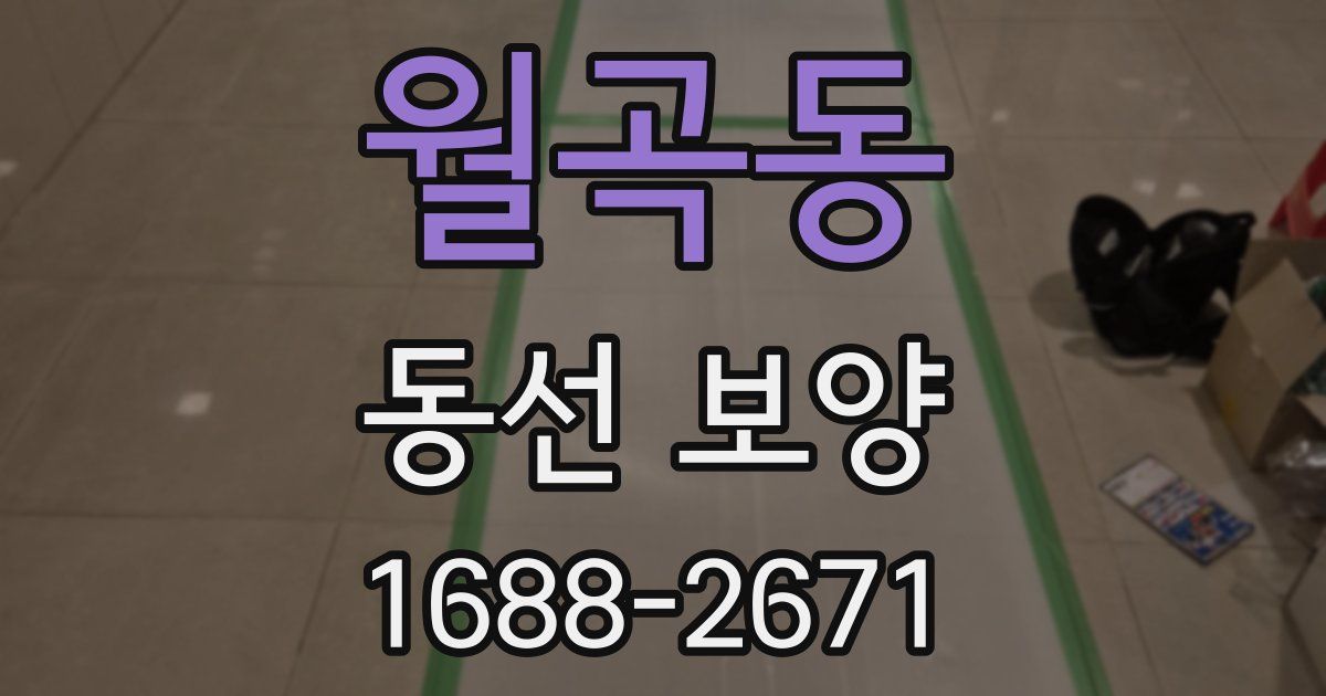 월곡동 동선 보양