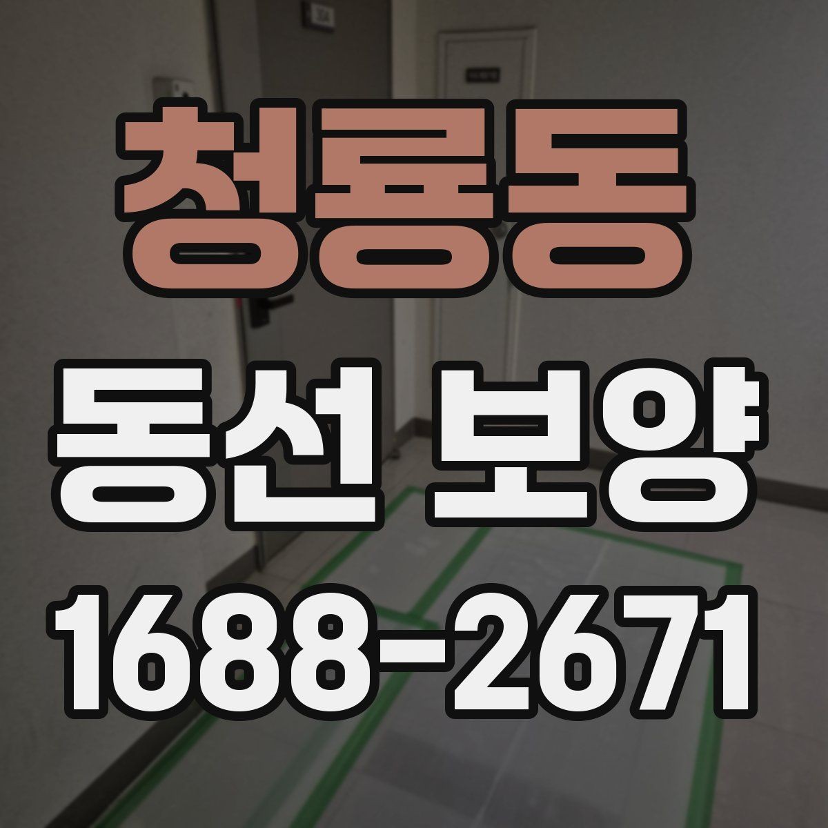 청룡동 동선 보양 선택 전 확인하면 좋은 기준