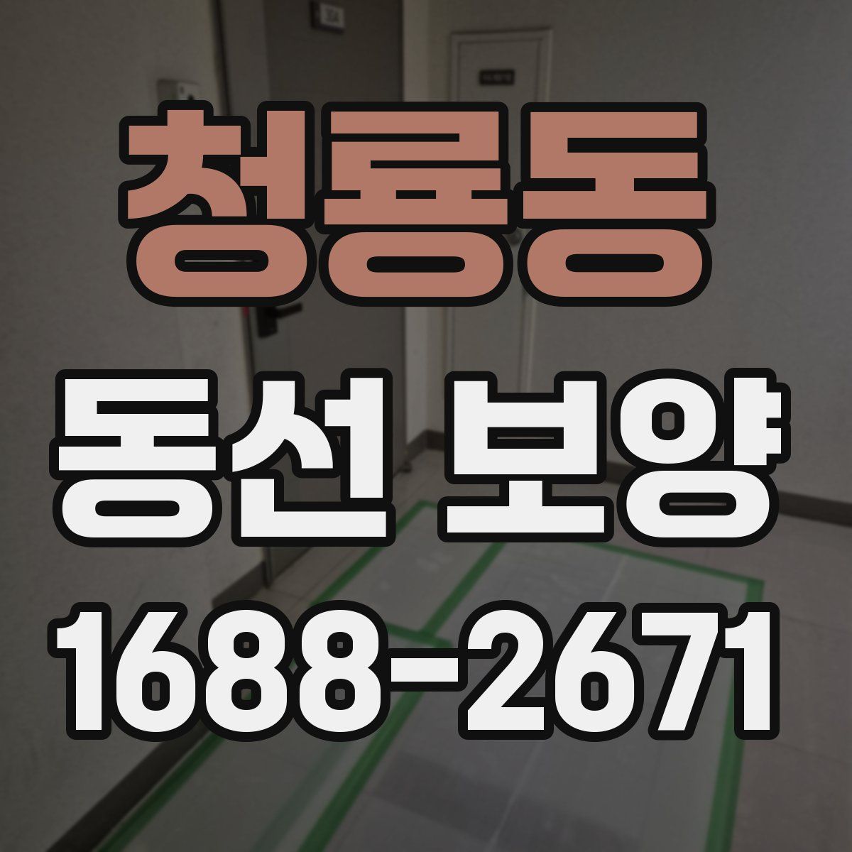 청룡동 동선 보양