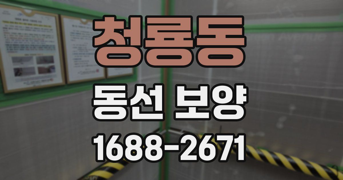 청룡동 동선 보양