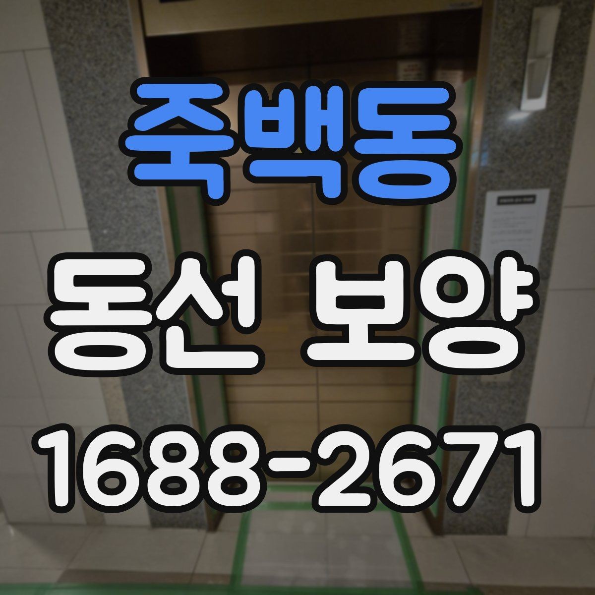 죽백동 동선 보양 마감 품질을 위한 현장 관리