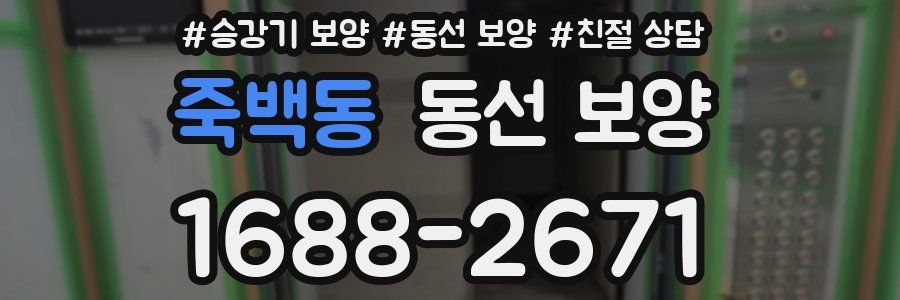 죽백동 동선 보양