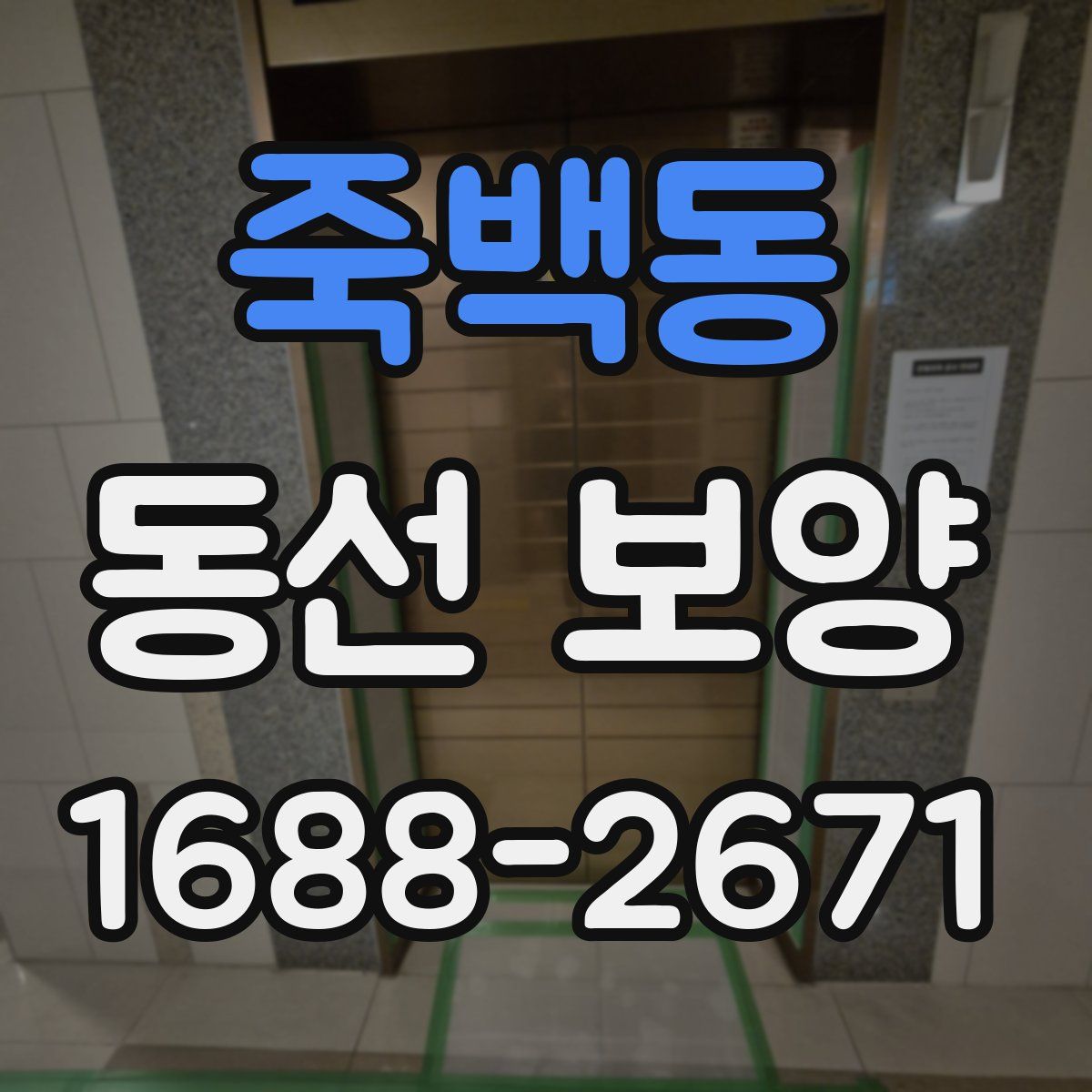 죽백동 동선 보양