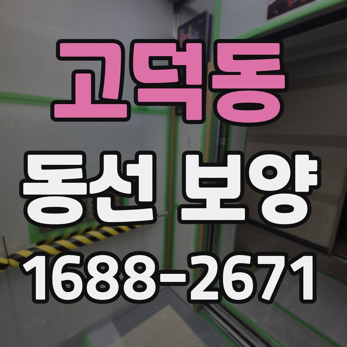 고덕동 동선 보양 시공을 맡기기 전 비교 포인트