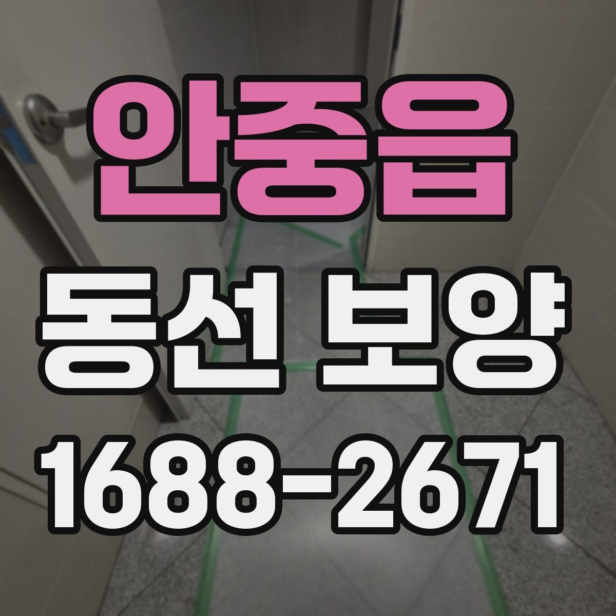 안중읍 동선 보양 비용 산정에 영향을 주는 요소
