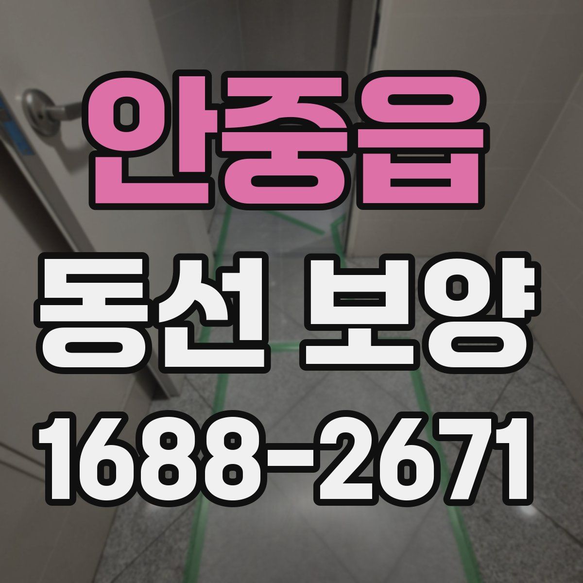 안중읍 동선 보양