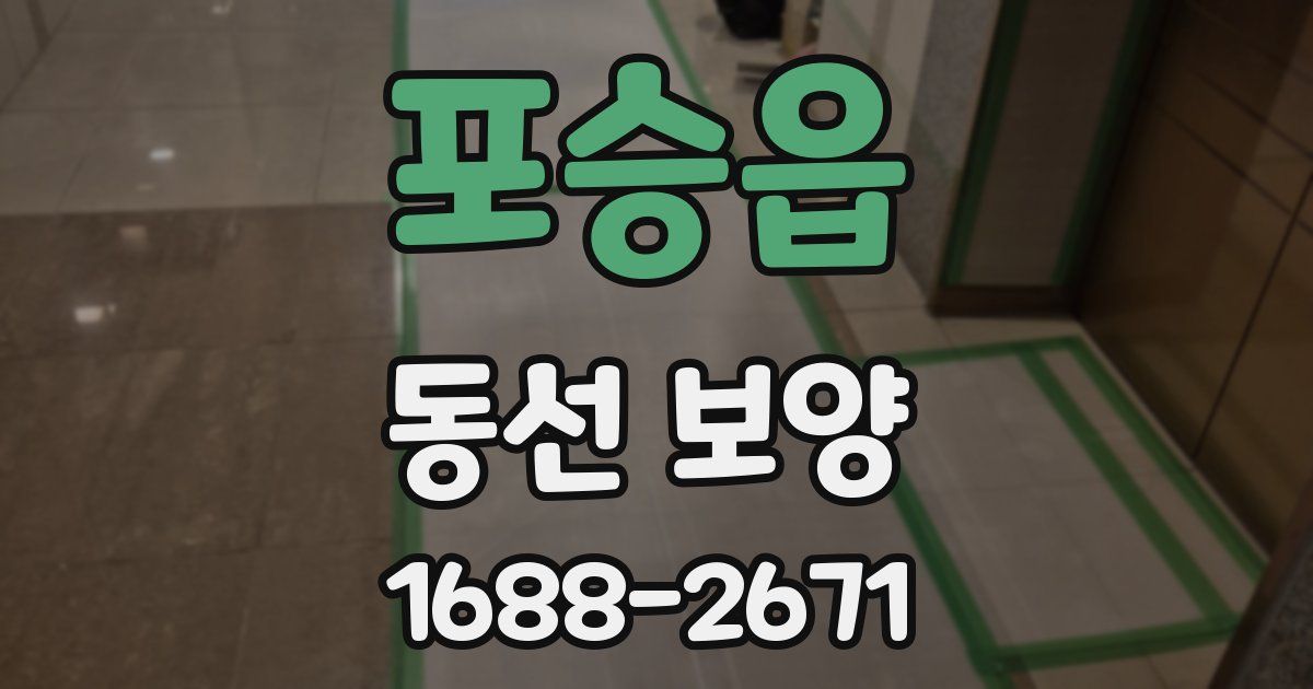 포승읍 동선 보양