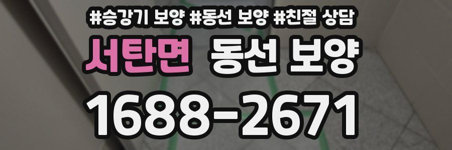 서탄면 동선 보양