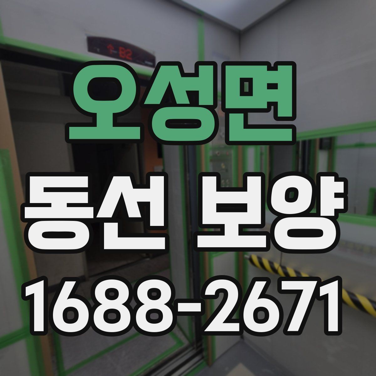 오성면 동선 보양 현장 사진으로 보는 진행 순서