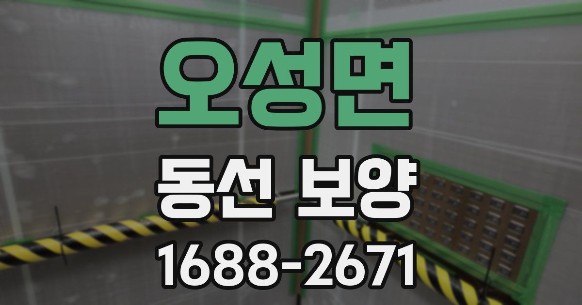 오성면 동선 보양