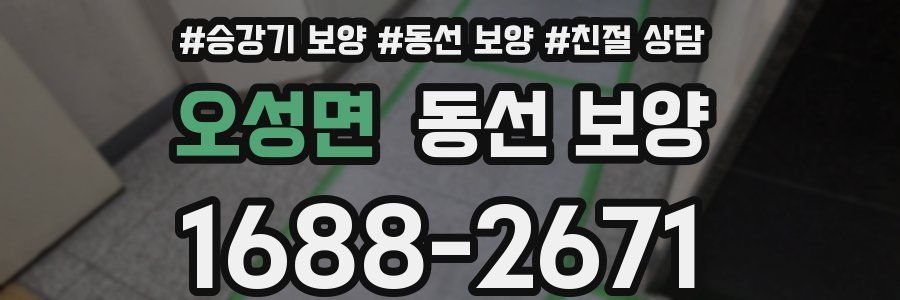 오성면 동선 보양