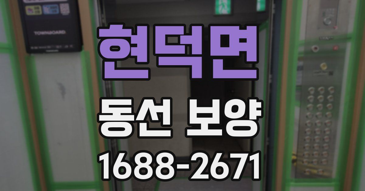 현덕면 동선 보양