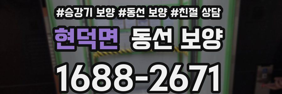 현덕면 동선 보양