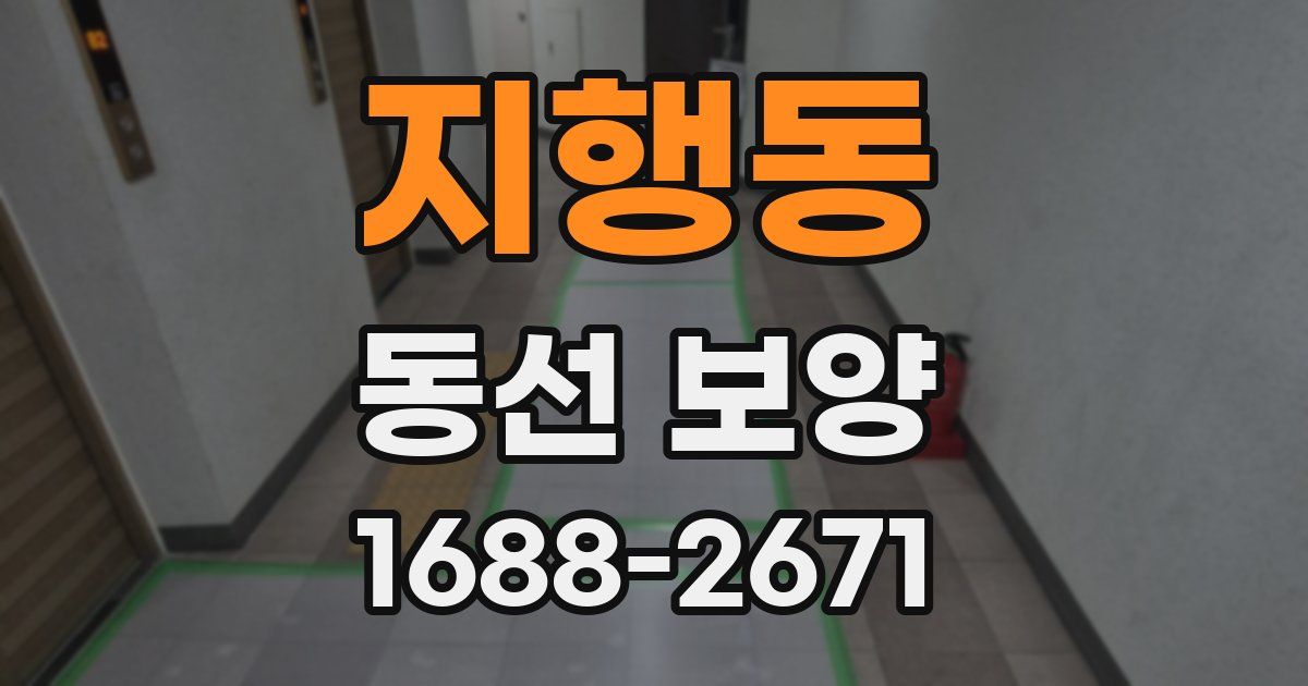 지행동 동선 보양