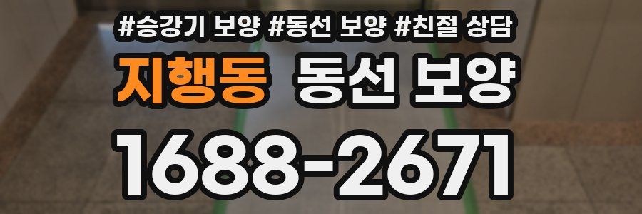 지행동 동선 보양