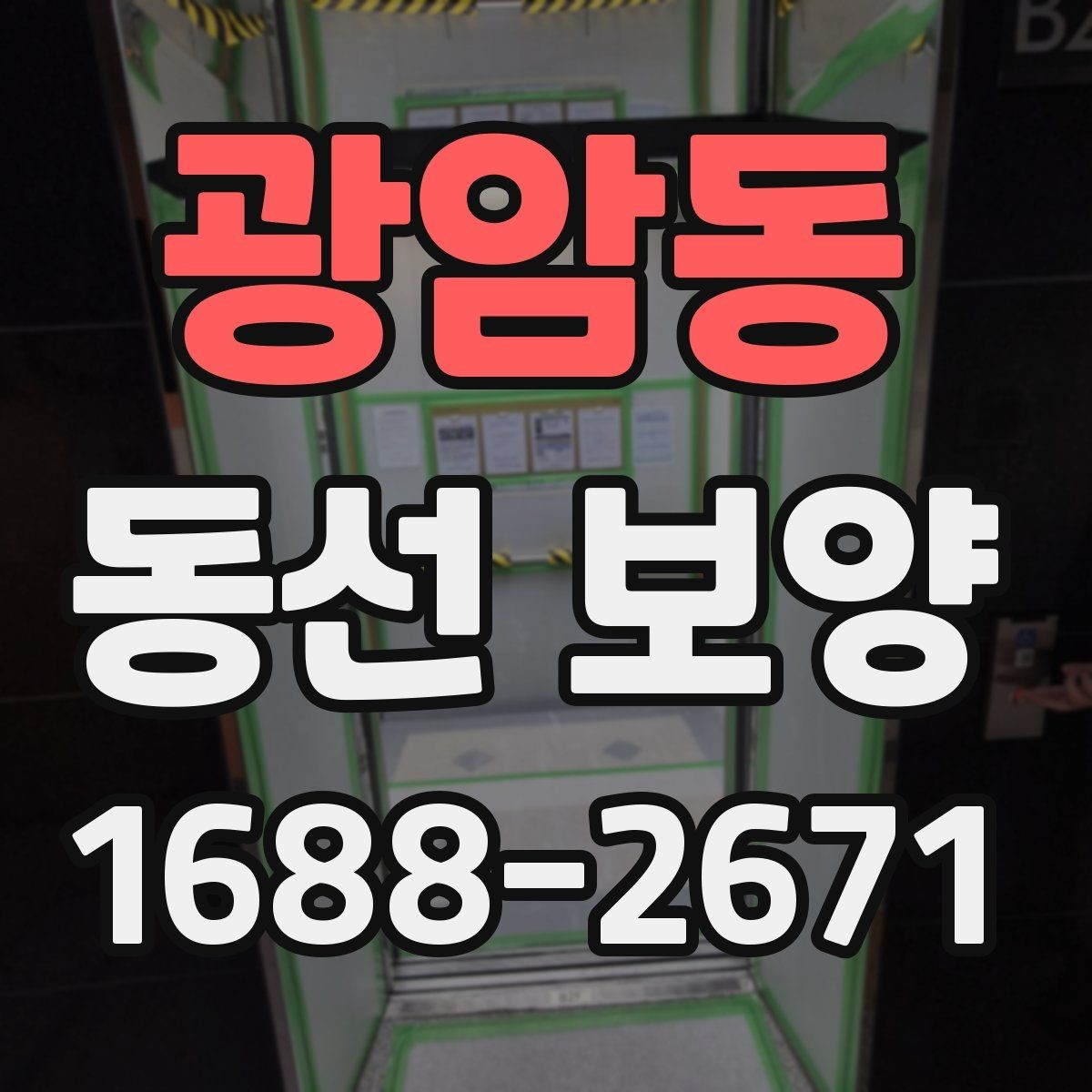 광암동 동선 보양 일정 잡을 때 참고할 내용