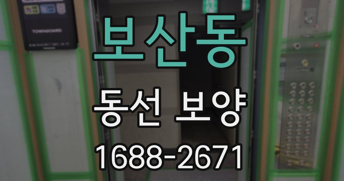 보산동 동선 보양