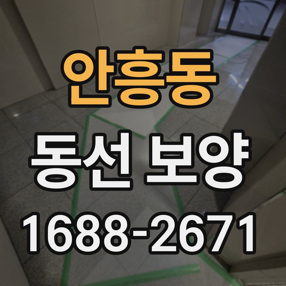 안흥동 동선 보양 비용 확인 시 함께 봐야 할 내용