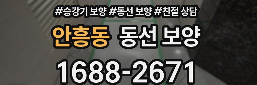 안흥동 동선 보양