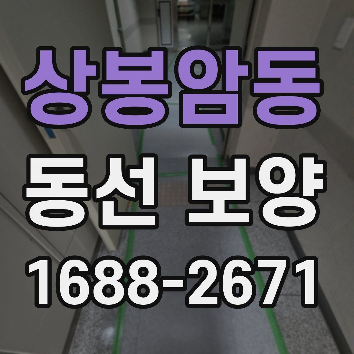 상봉암동 동선 보양 시공 사례로 보는 준비 과정