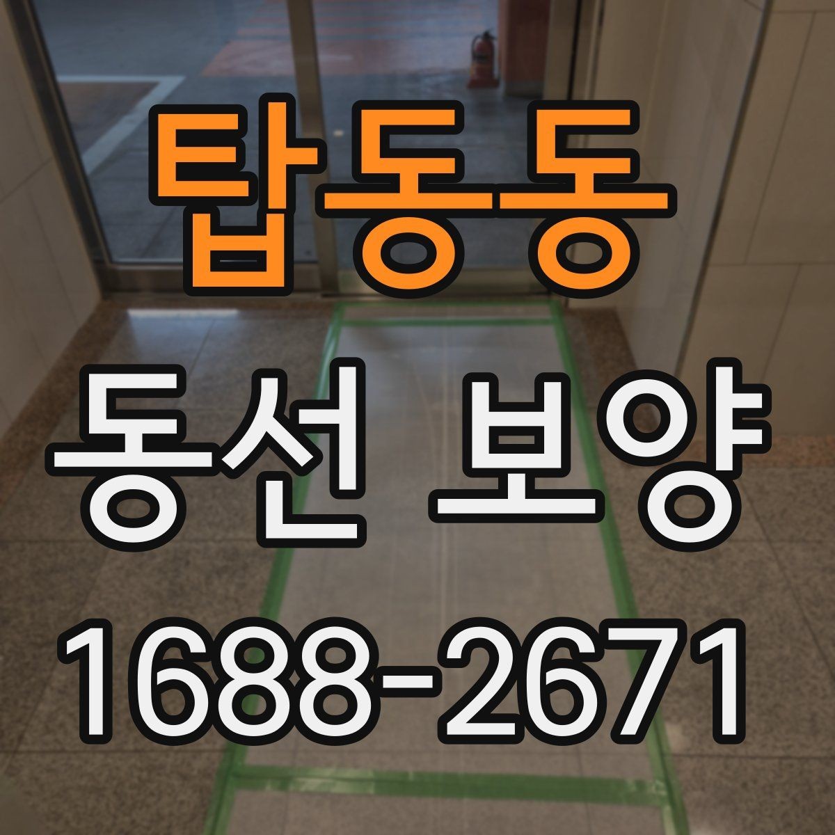 탑동동 동선 보양 현장별 작업 난이도가 달라지는 이유