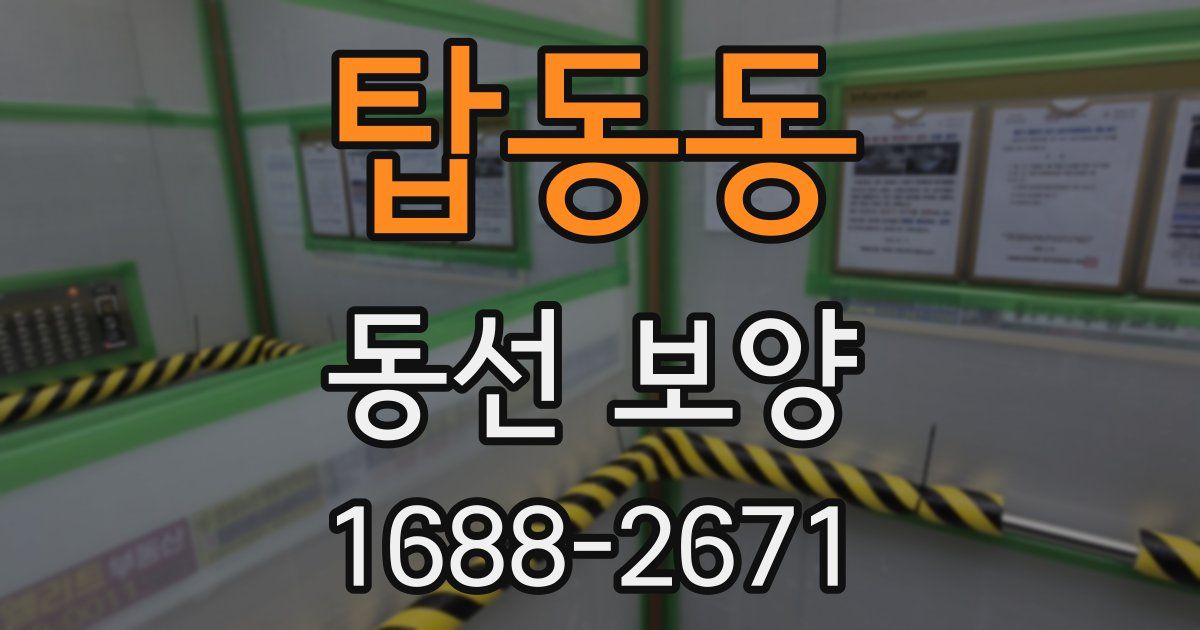 탑동동 동선 보양