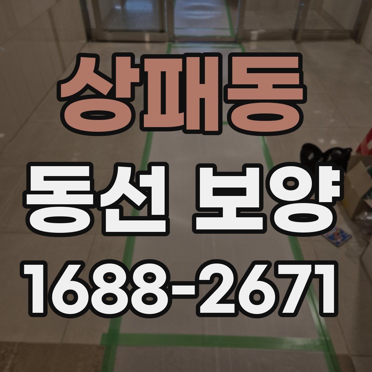 상패동 동선 보양 현장에 맞는 보호 방법 정리