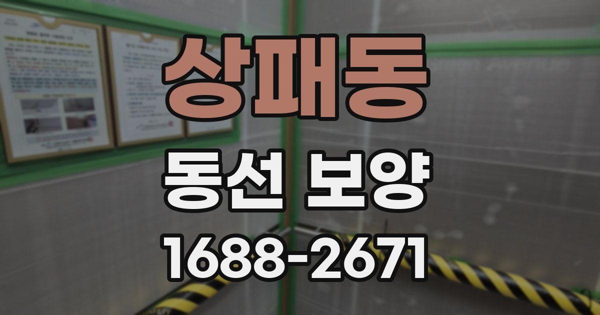 상패동 동선 보양