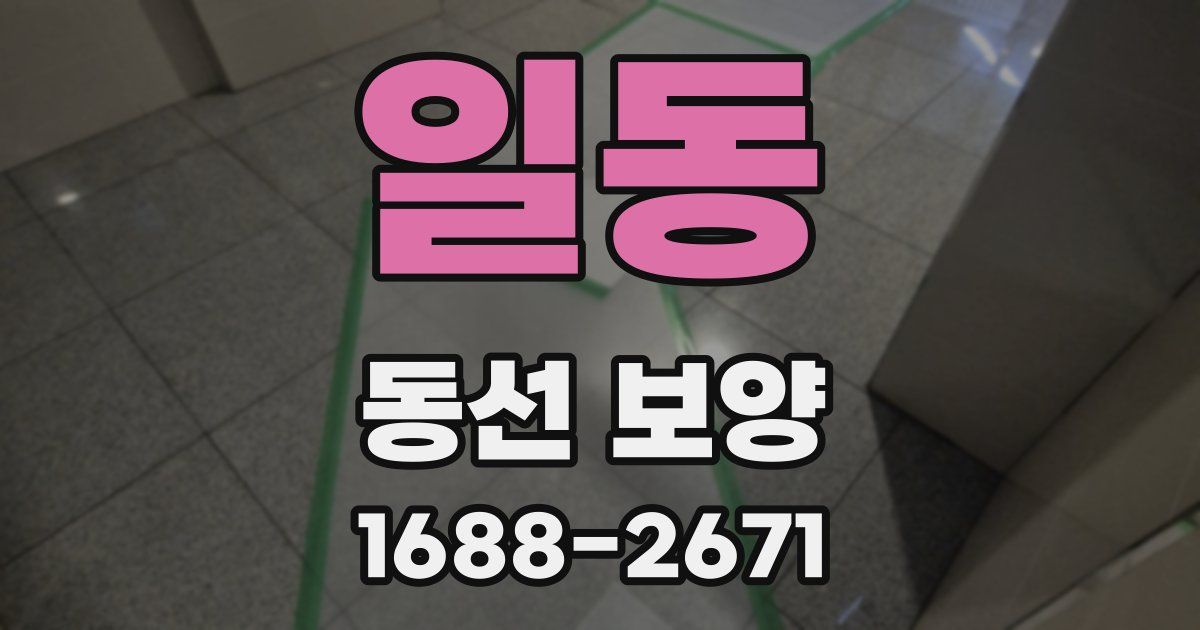 일동 동선 보양
