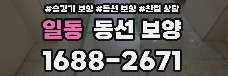 일동 동선 보양