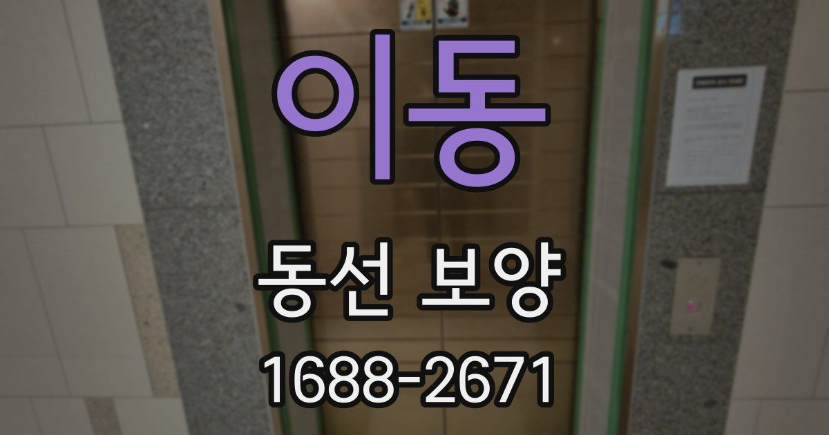 이동 동선 보양