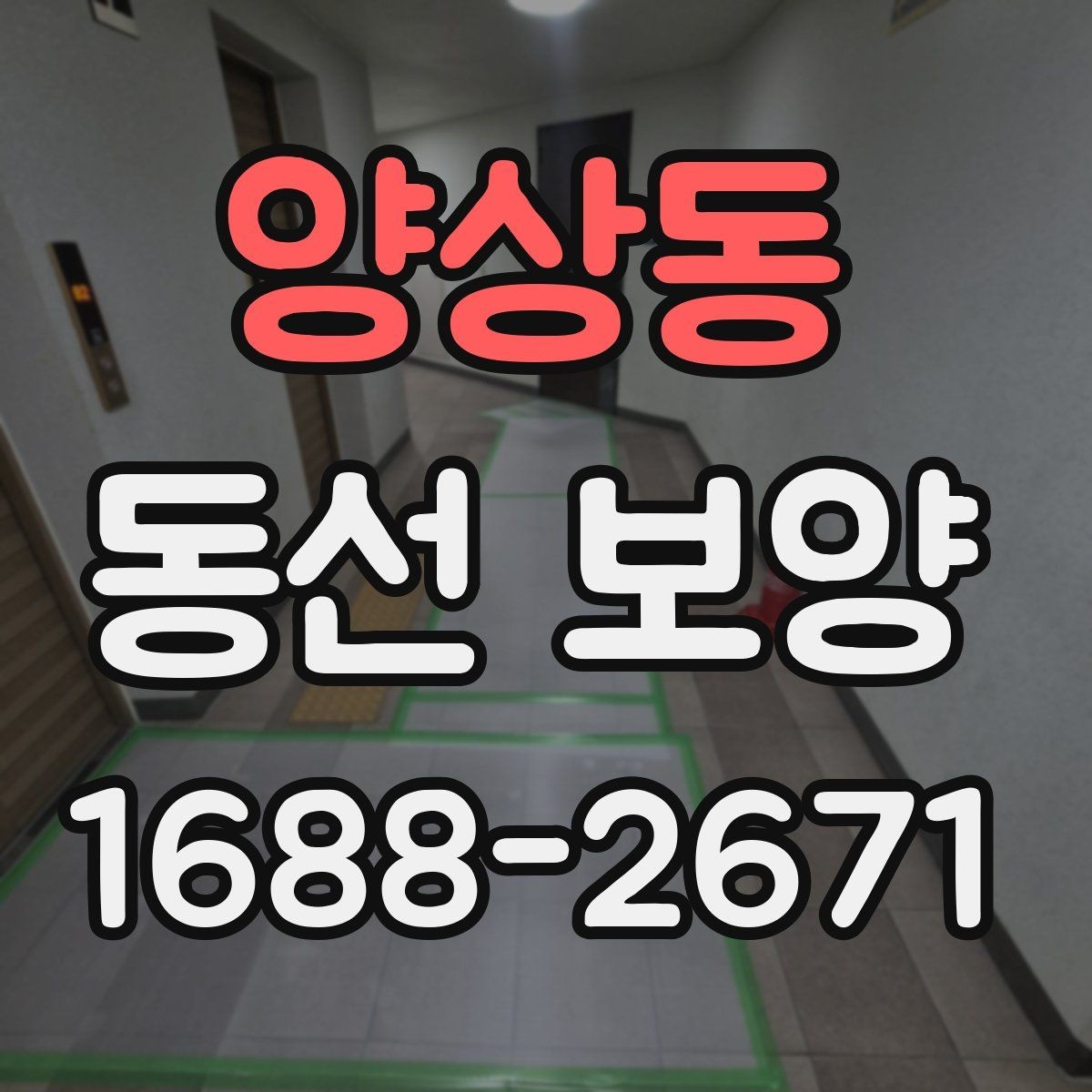 양상동 동선 보양 현장에 맞는 자재 선택 가이드