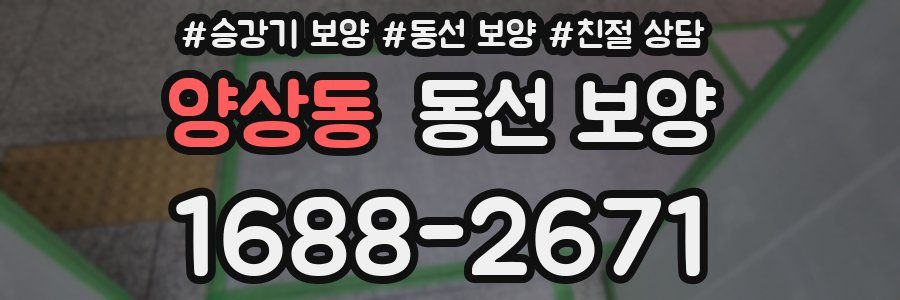 양상동 동선 보양