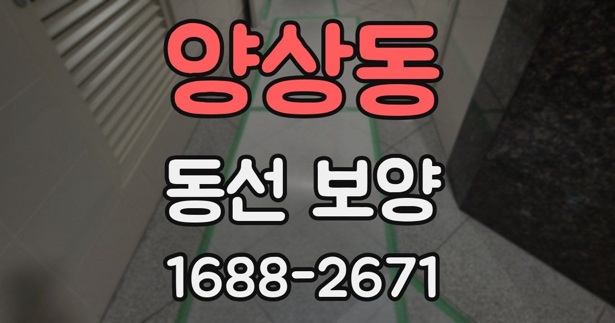 양상동 동선 보양