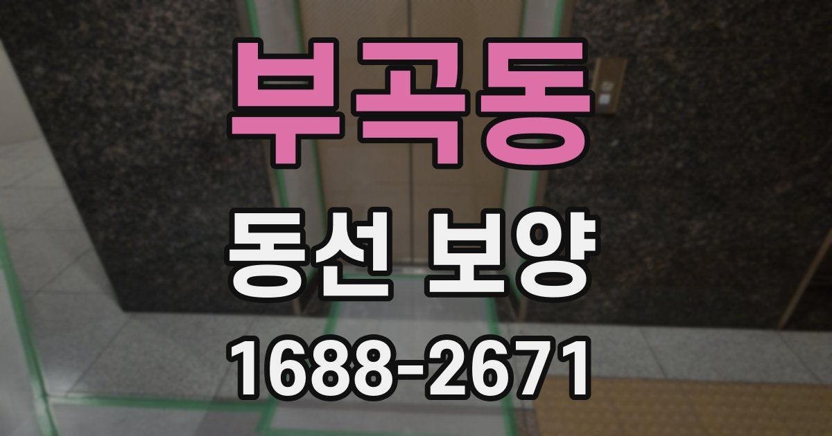 부곡동 동선 보양