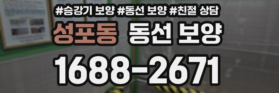 성포동 동선 보양