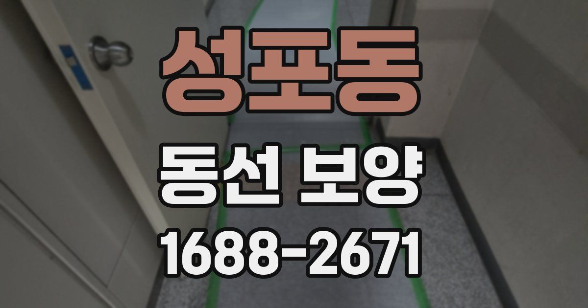 성포동 동선 보양