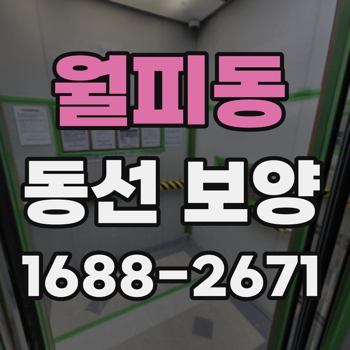월피동 동선 보양 공정에서 자주 묻는 질문 정리