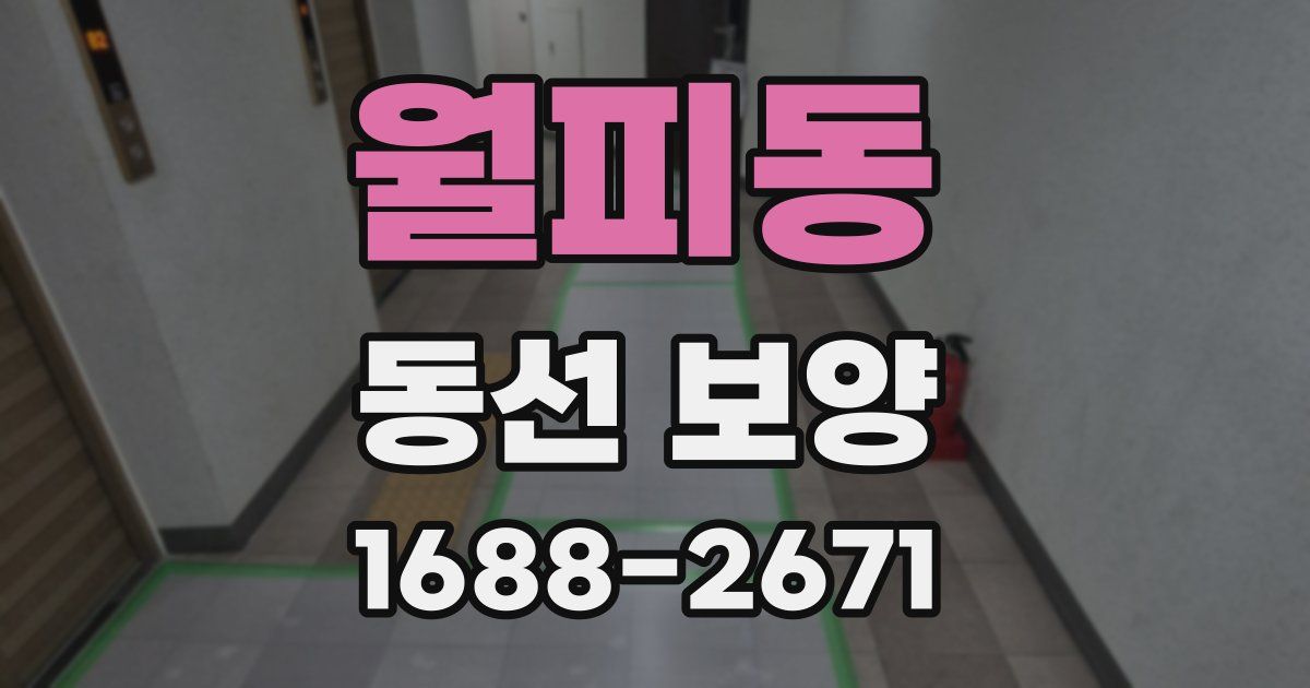 월피동 동선 보양