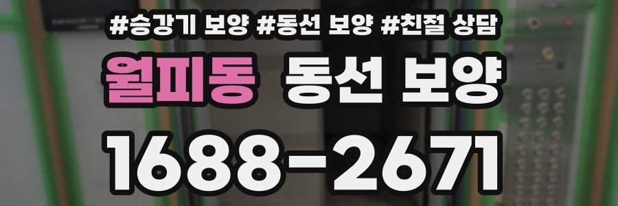 월피동 동선 보양
