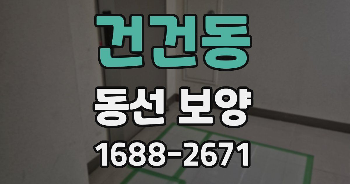 건건동 동선 보양