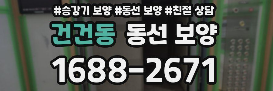 건건동 동선 보양