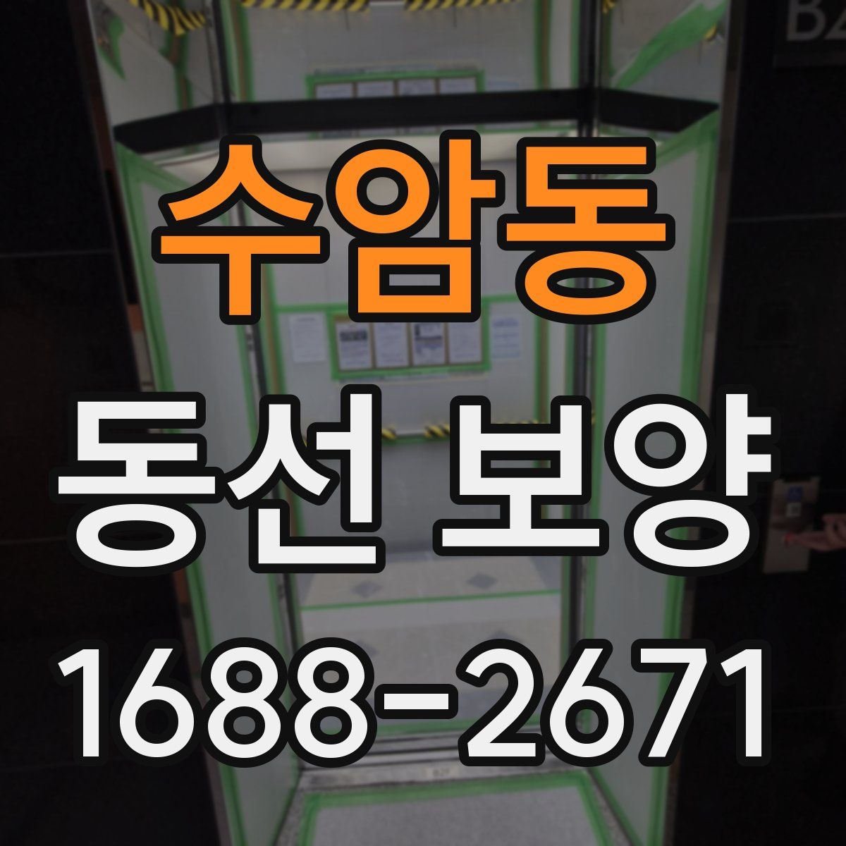 수암동 동선 보양